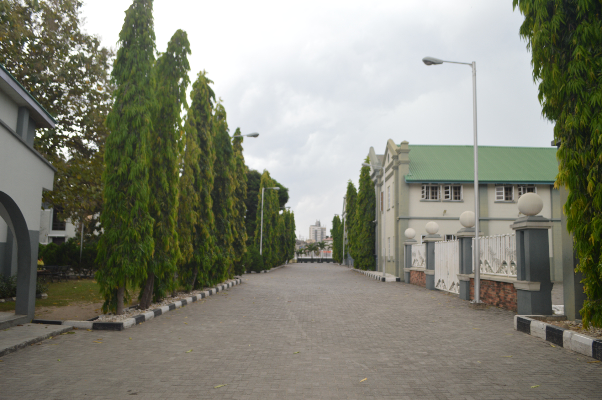 Tree-lined drive through the College campus